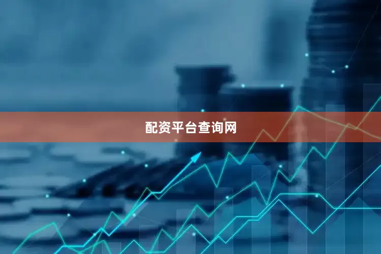 配资平台查询网