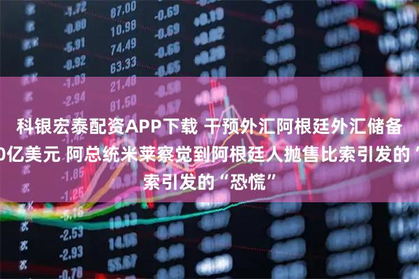 科银宏泰配资APP下载 干预外汇阿根廷外汇储备缩水10亿美元 阿总统米莱察觉到阿根廷人抛售比索引发的“恐慌”