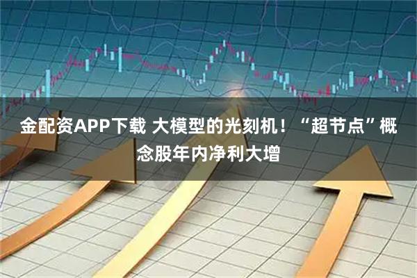 金配资APP下载 大模型的光刻机！“超节点”概念股年内净利大增