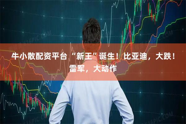 牛小散配资平台 “新王”诞生！比亚迪，大跌！雷军，大动作